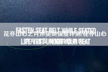花亦山心之月沐英岚强度评测(花亦山心之月沐英岚值得培养吗)