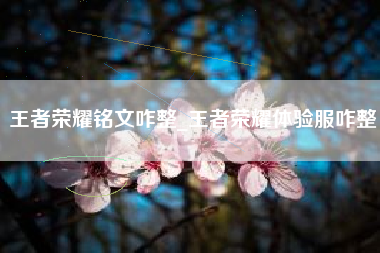 王者荣耀铭文咋整_王者荣耀体验服咋整