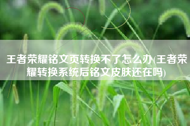 王者荣耀铭文页转换不了怎么办(王者荣耀转换系统后铭文皮肤还在吗)