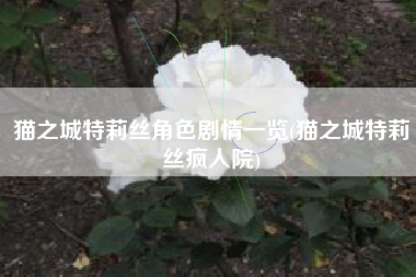 猫之城特莉丝角色剧情一览(猫之城特莉丝疯人院)
