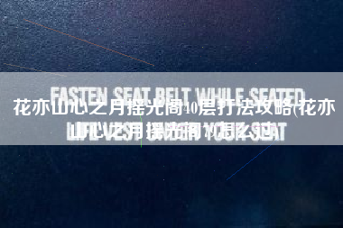 花亦山心之月摇光阁40层打法攻略(花亦山心之月摇光阁79怎么过)