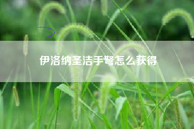 伊洛纳圣洁手弩怎么获得