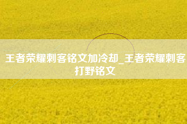 王者荣耀刺客铭文加冷却_王者荣耀刺客打野铭文