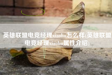 英雄联盟电竞经理xiaohu怎么样(英雄联盟电竞经理xiaohu属性介绍)
