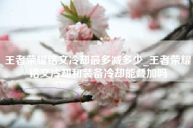 王者荣耀铭文冷却最多减多少_王者荣耀铭文冷却和装备冷却能叠加吗