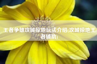 王者争雄攻城掠地玩法介绍(攻城掠地王者辅助)