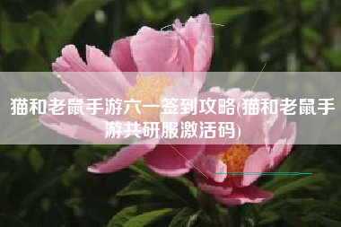 猫和老鼠手游六一签到攻略(猫和老鼠手游共研服激活码)