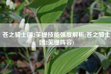 苍之骑士团2芙缇技能强度解析(苍之骑士团2芙缇阵容)