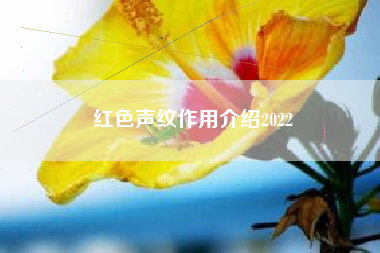 红色声纹作用介绍2022
