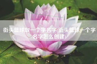 街头篮球取一个字名字(街头篮球一个字名字怎么创建)