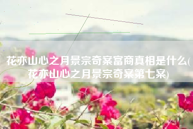花亦山心之月景宗奇案富商真相是什么(花亦山心之月景宗奇案第七案)