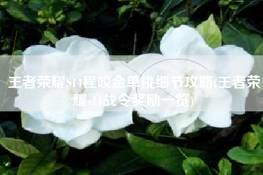 王者荣耀S14程咬金单挑细节攻略(王者荣耀s14战令奖励一览)