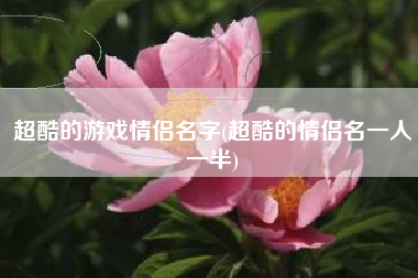超酷的游戏情侣名字(超酷的情侣名一人一半)