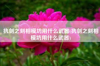 执剑之刻相模坊用什么武器(执剑之刻相模坊用什么武器)