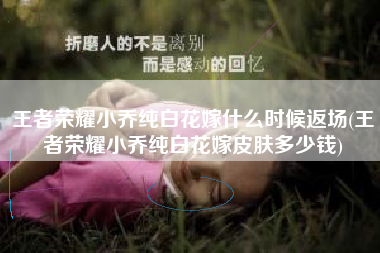 王者荣耀小乔纯白花嫁什么时候返场(王者荣耀小乔纯白花嫁皮肤多少钱)