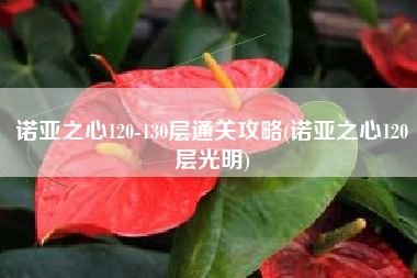 诺亚之心120-130层通关攻略(诺亚之心120层光明)