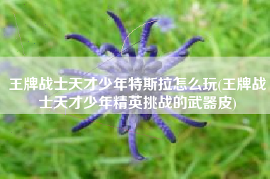 王牌战士天才少年特斯拉怎么玩(王牌战士天才少年精英挑战的武器皮)