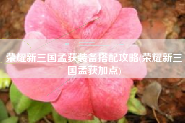 荣耀新三国孟获装备搭配攻略(荣耀新三国孟获加点)