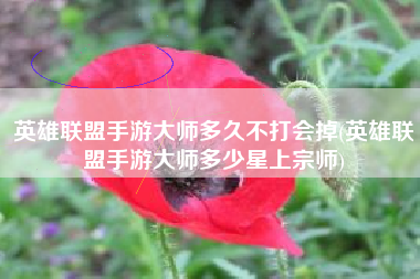 英雄联盟手游大师多久不打会掉(英雄联盟手游大师多少星上宗师)