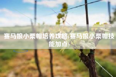 赛马娘小栗帽培养攻略(赛马娘小栗帽技能加点)
