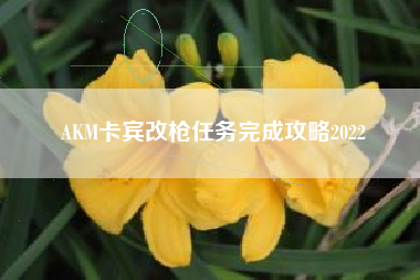 AKM卡宾改枪任务完成攻略2022
