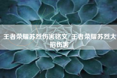 王者荣耀苏烈伤害铭文_王者荣耀苏烈大招伤害