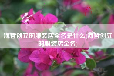 海哲创立的服装店全名是什么(海哲创立的服装店全名)