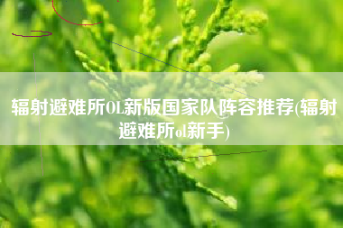 辐射避难所OL新版国家队阵容推荐(辐射避难所ol新手)