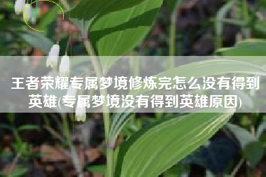 王者荣耀专属梦境修炼完怎么没有得到英雄(专属梦境没有得到英雄原因)