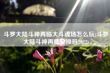 斗罗大陆斗神再临大斗魂场怎么玩(斗罗大陆斗神再临兑换码2022)