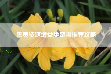 誓灵资源增益类奇物推荐攻略