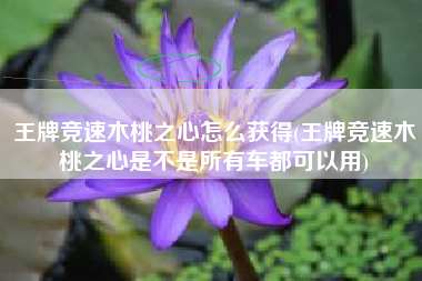 王牌竞速木桃之心怎么获得(王牌竞速木桃之心是不是所有车都可以用)
