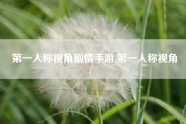第一人称视角剧情手游,第一人称视角