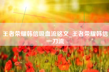 王者荣耀韩信吸血流铭文_王者荣耀韩信一刀流