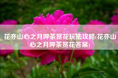 花亦山心之月呷茶赏花玩法攻略(花亦山心之月呷茶赏花答案)