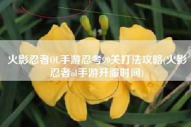 火影忍者OL手游忍考90关打法攻略(火影忍者ol手游开服时间)