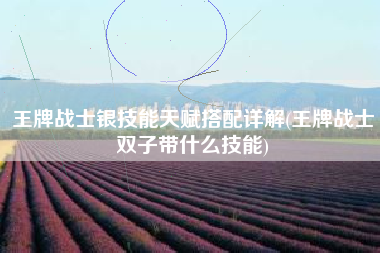 王牌战士银技能天赋搭配详解(王牌战士双子带什么技能)