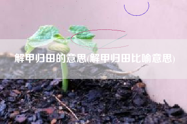 解甲归田的意思(解甲归田比喻意思)