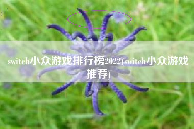 switch小众游戏排行榜2022(switch小众游戏推荐)