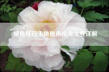 神角技巧主角雅布拉克戈登详解