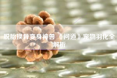 脱胎换骨变身神兽 《问道》宠物羽化全解析