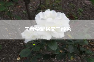 王者荣耀铭文三颜色
