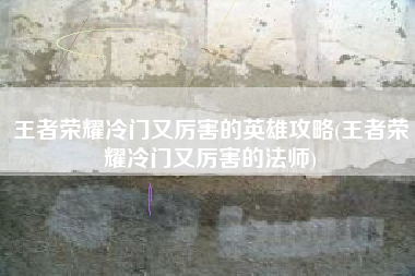 王者荣耀冷门又厉害的英雄攻略(王者荣耀冷门又厉害的法师)