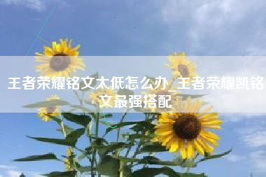 王者荣耀铭文太低怎么办_王者荣耀凯铭文最强搭配