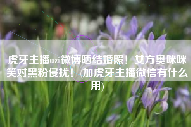 虎牙主播uzi微博晒结婚照！女方奥咪咪笑对黑粉侵扰！(加虎牙主播微信有什么用)