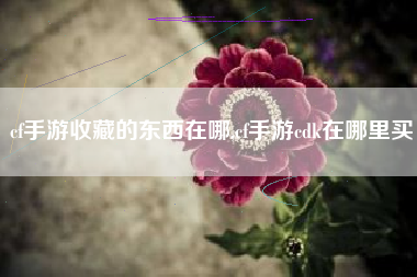 cf手游收藏的东西在哪,cf手游cdk在哪里买