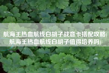 航海王热血航线白胡子战意卡搭配攻略(航海王热血航线白胡子值得培养吗)