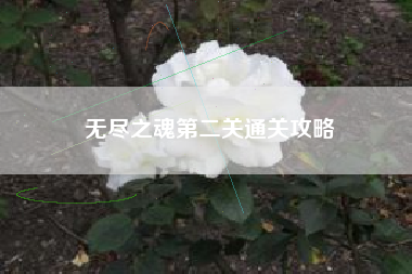 无尽之魂第二关通关攻略