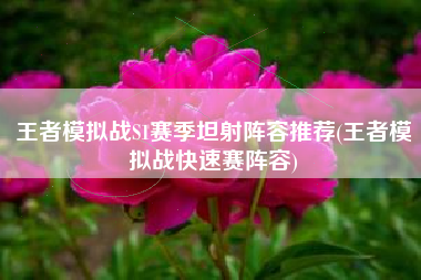 王者模拟战S1赛季坦射阵容推荐(王者模拟战快速赛阵容)