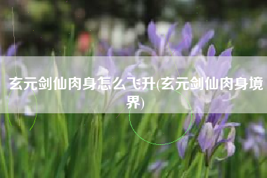 玄元剑仙肉身怎么飞升(玄元剑仙肉身境界)